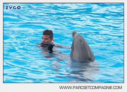 Marineland - Dauphins - Spectacle 14h30 - 2820