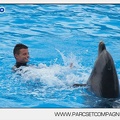 Marineland - Dauphins - Spectacle 14h30 - 2821