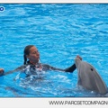 Marineland - Dauphins - Spectacle 14h30 - 2822
