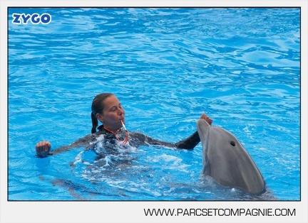 Marineland - Dauphins - Spectacle 14h30 - 2822