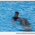 Marineland - Dauphins - Spectacle 14h30 - 2823
