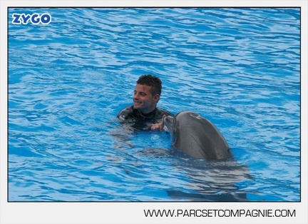 Marineland - Dauphins - Spectacle 14h30 - 2823