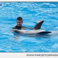 Marineland - Dauphins - Spectacle 14h30 - 2824