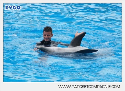 Marineland - Dauphins - Spectacle 14h30 - 2824