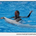 Marineland - Dauphins - Spectacle 14h30 - 2825