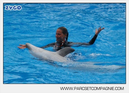 Marineland - Dauphins - Spectacle 14h30 - 2825