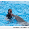 Marineland - Dauphins - Spectacle 14h30 - 2826