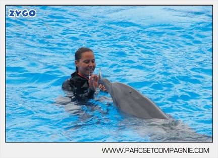 Marineland - Dauphins - Spectacle 14h30 - 2826