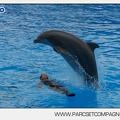 Marineland - Dauphins - Spectacle 14h30 - 2827