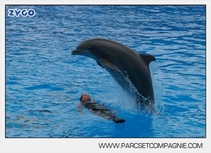 Marineland - Dauphins - Spectacle 14h30 - 2827