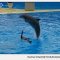 Marineland - Dauphins - Spectacle 14h30 - 2828