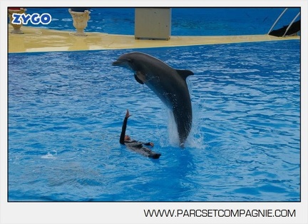 Marineland - Dauphins - Spectacle 14h30 - 2828