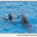 Marineland - Dauphins - Spectacle 14h30 - 2829