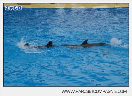 Marineland - Dauphins - Spectacle 14h30 - 2830