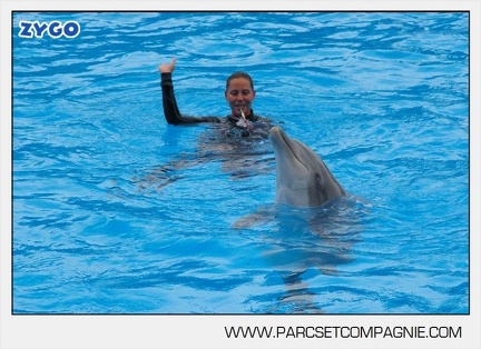 Marineland - Dauphins - Spectacle 14h30 - 2831