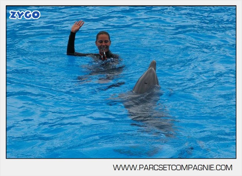 Marineland - Dauphins - Spectacle 14h30 - 2832