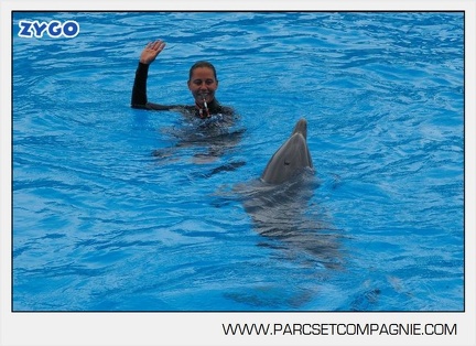 Marineland - Dauphins - Spectacle 14h30 - 2832