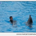 Marineland - Dauphins - Spectacle 14h30 - 2833