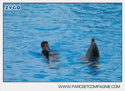 Marineland - Dauphins - Spectacle 14h30 - 2833