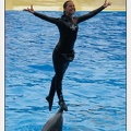 Marineland - Dauphins - Spectacle 14h30 - 2834