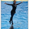 Marineland - Dauphins - Spectacle 14h30 - 2835