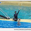 Marineland - Dauphins - Spectacle 14h30 - 2836