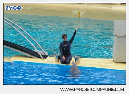 Marineland - Dauphins - Spectacle 14h30 - 2836
