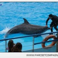Marineland - Dauphins - Spectacle 14h30 - 2837