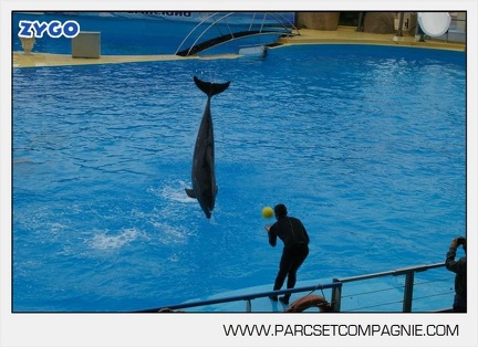 Marineland - Dauphins - Spectacle 14h30 - 2838