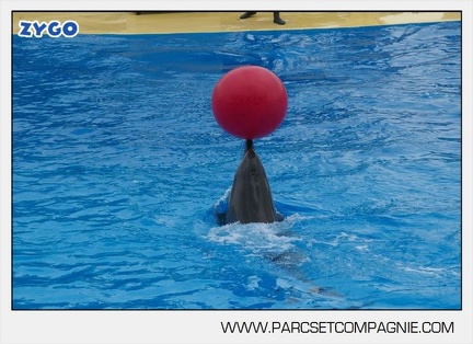 Marineland - Dauphins - Spectacle 14h30 - 2839