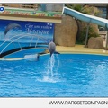 Marineland - Dauphins - Spectacle 14h30 - 2840