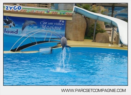 Marineland - Dauphins - Spectacle 14h30 - 2840
