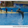 Marineland - Dauphins - Spectacle 14h30 - 2841