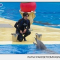 Marineland - Dauphins - Spectacle 14h30 - 2843