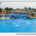 Marineland - Dauphins - Spectacle 14h30 - 2848