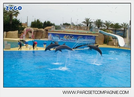 Marineland - Dauphins - Spectacle 14h30 - 2848