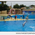 Marineland - Dauphins - Spectacle 14h30 - 2849