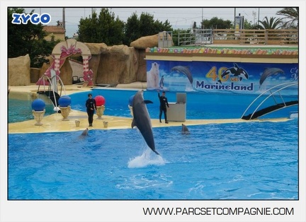 Marineland - Dauphins - Spectacle 14h30 - 2850