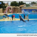 Marineland - Dauphins - Spectacle 14h30 - 2851