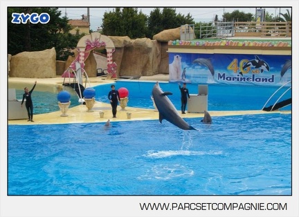 Marineland - Dauphins - Spectacle 14h30 - 2851