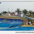 Marineland - Dauphins - Spectacle 14h30 - 2853