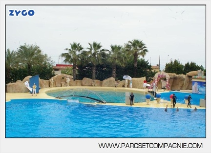 Marineland - Dauphins - Spectacle 14h30 - 2854