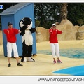 Marineland - Dauphins - Spectacle 17h45 - 2862