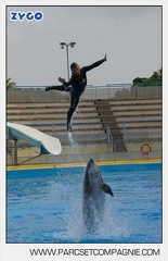 Marineland - Dauphins - Spectacle 17h45 - 2868