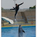 Marineland - Dauphins - Spectacle 17h45 - 2868