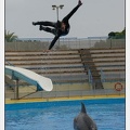 Marineland - Dauphins - Spectacle 17h45 - 2869