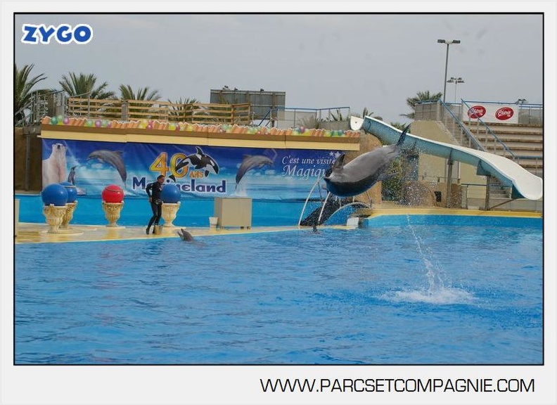 Marineland - Dauphins - Spectacle 17h45 - 2870