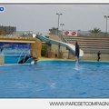 Marineland - Dauphins - Spectacle 17h45 - 2871
