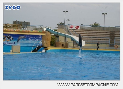 Marineland - Dauphins - Spectacle 17h45 - 2871