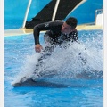Marineland - Dauphins - Spectacle 17h45 - 2872